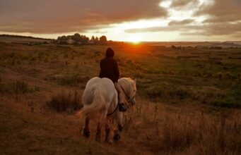 74. Berlin Film Festivali