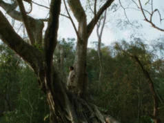 43. İstanbul Film Festivali Sinema Maratonu Başlıyor