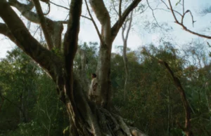 43. İstanbul Film Festivali Sinema Maratonu Başlıyor