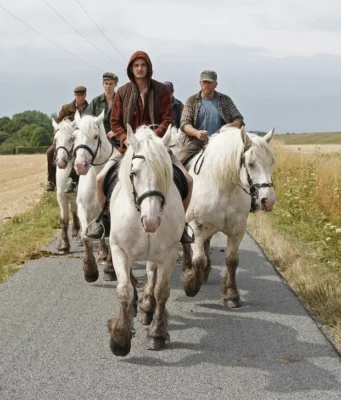 43. İstanbul Film Festivali Başladı