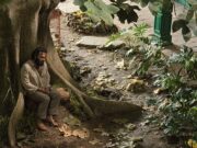 Yüzyıllık Yalnızlık