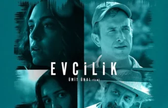 Evcilik