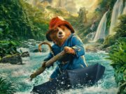 Ayı Paddington Peru’da