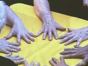 SSM Müzesi Yeni Sezon Açılışı